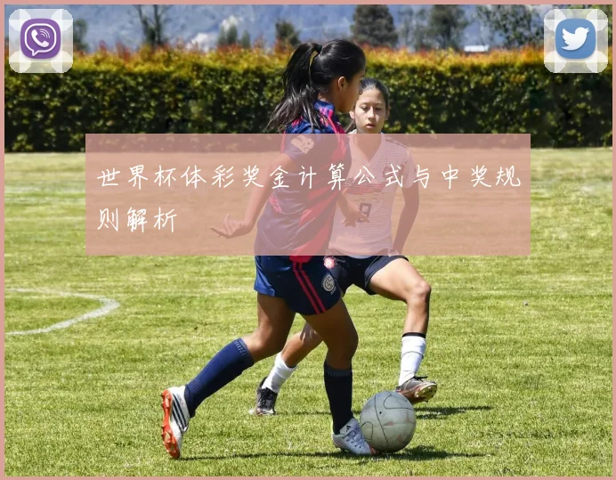 世界杯体彩奖金计算公式与中奖规则解析