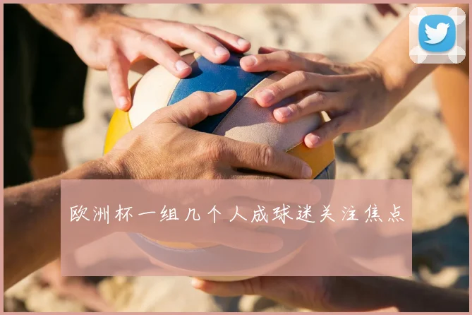 欧洲杯一组几个人成球迷关注焦点
